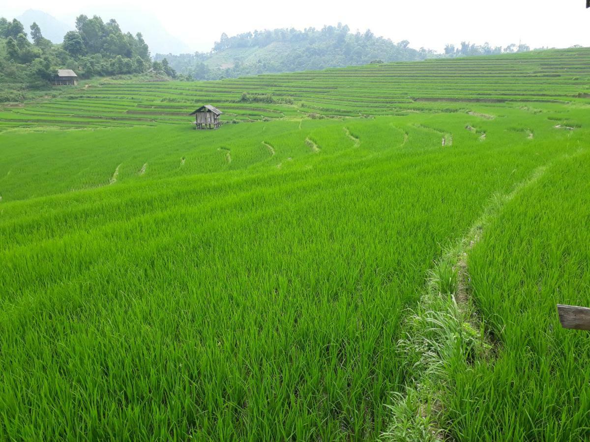 Organic Farm Homestay Шапа Экстерьер фото